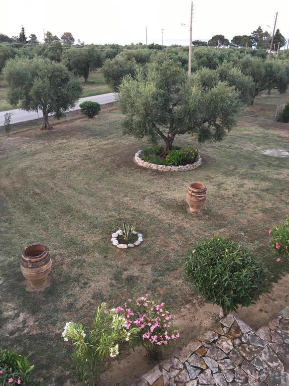 Dimaras Apartments Vasilikí Zewnętrze zdjęcie